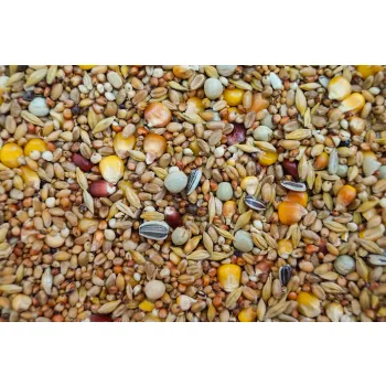 Gold Wings Karma Zimowa  25 kg